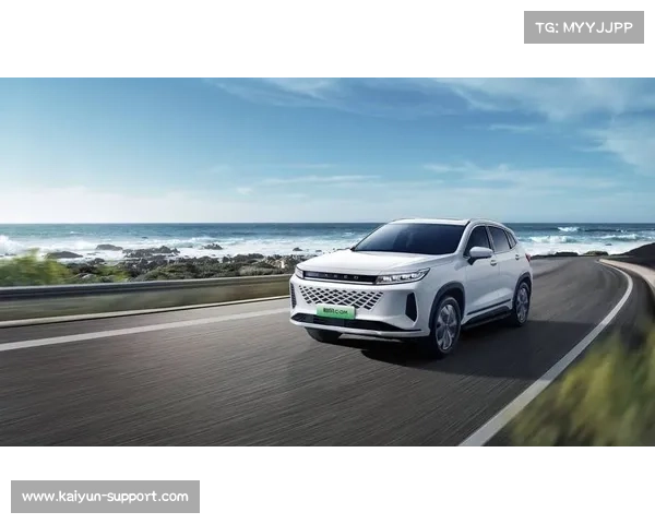 中国品牌首次占据超级碗广告市场20%以上份额展现强劲崛起